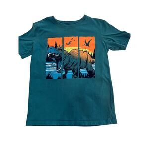 Carters Kids Grafic T-Shirt  Boys  Size 12A Gray Dinosaur Small Hole See Marker